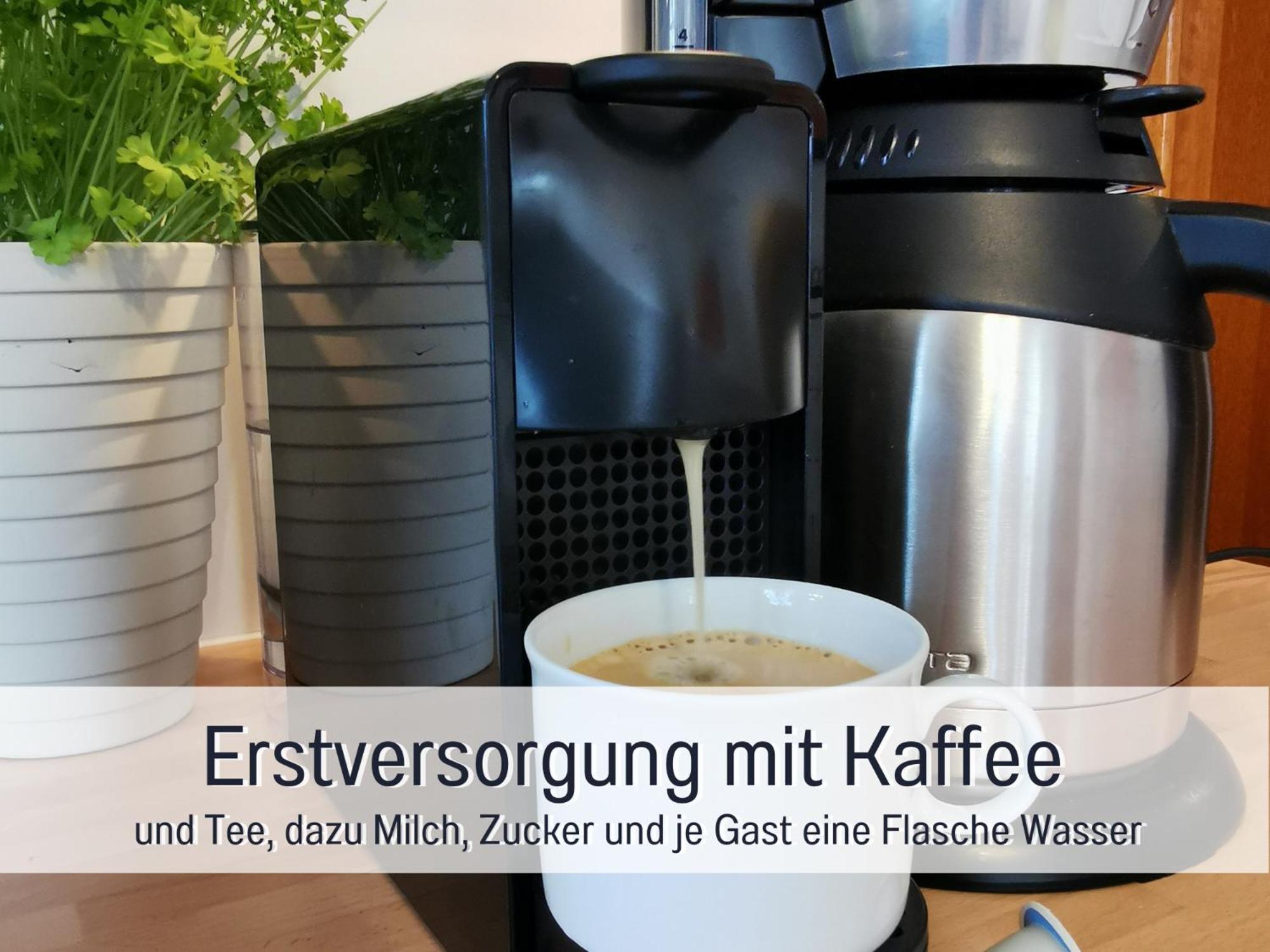 Ferienhaus Schwaab-Scherr, Genau Zwischen Bernkastel-Kues Und Traben-Trarbach, Mit Kostenlosem Oepnv-Ticket Fuer Bus Und Bahn, Parkplaetzen, Fahrradgarage Und Vielen Tipps Erden Luaran gambar