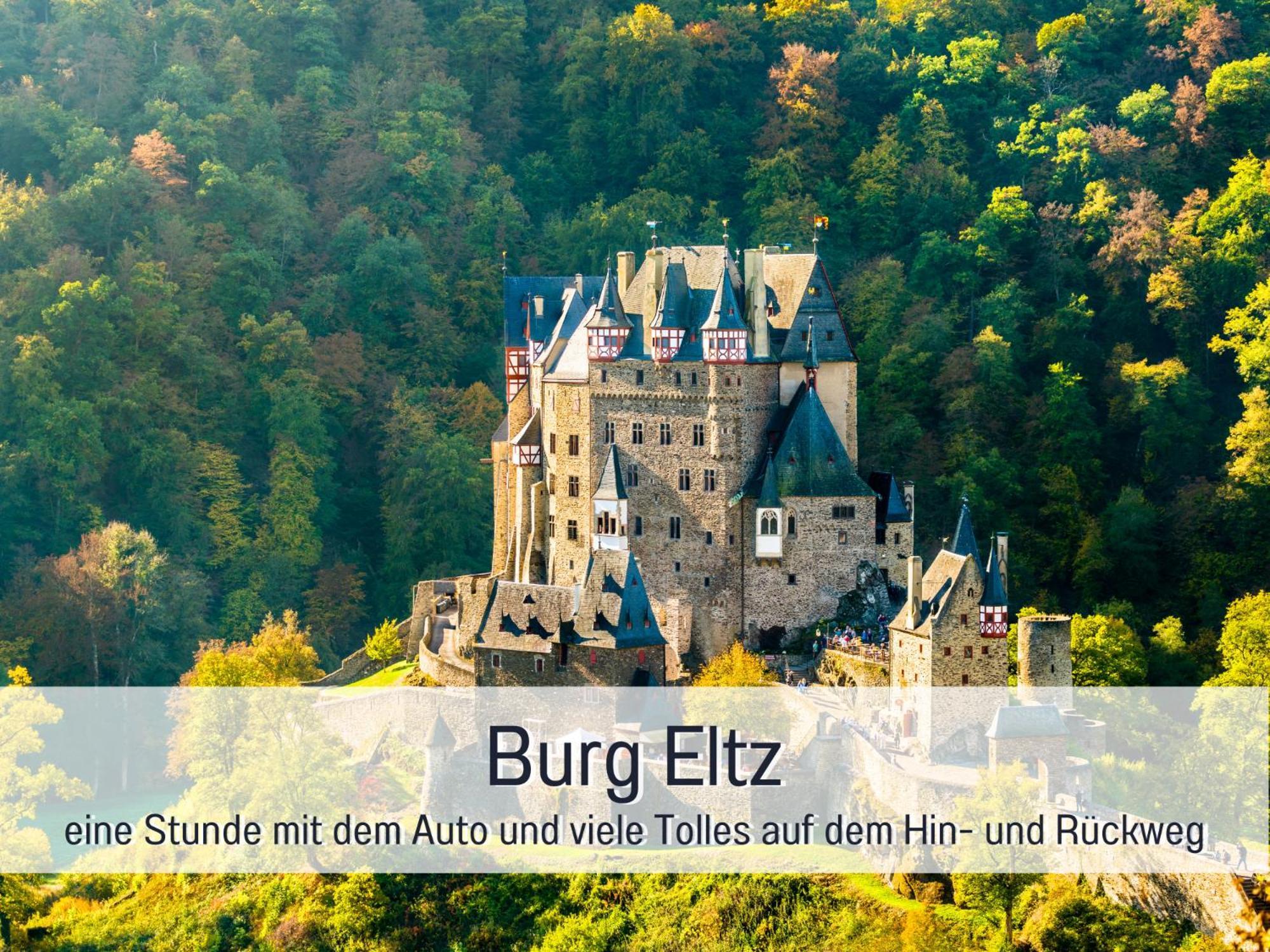 Ferienhaus Schwaab-Scherr, Genau Zwischen Bernkastel-Kues Und Traben-Trarbach, Mit Kostenlosem Oepnv-Ticket Fuer Bus Und Bahn, Parkplaetzen, Fahrradgarage Und Vielen Tipps Erden Luaran gambar