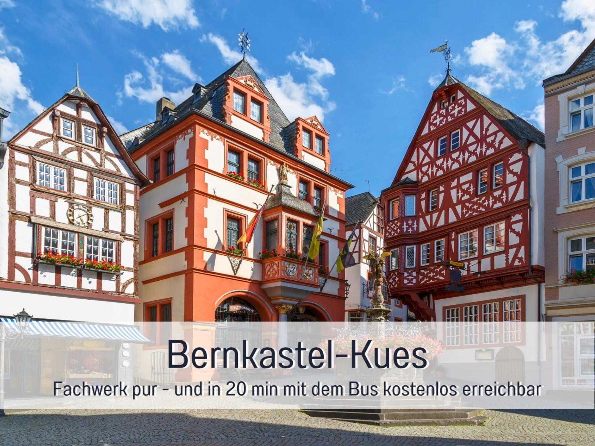 Ferienhaus Schwaab-Scherr, Genau Zwischen Bernkastel-Kues Und Traben-Trarbach, Mit Kostenlosem Oepnv-Ticket Fuer Bus Und Bahn, Parkplaetzen, Fahrradgarage Und Vielen Tipps Erden Luaran gambar