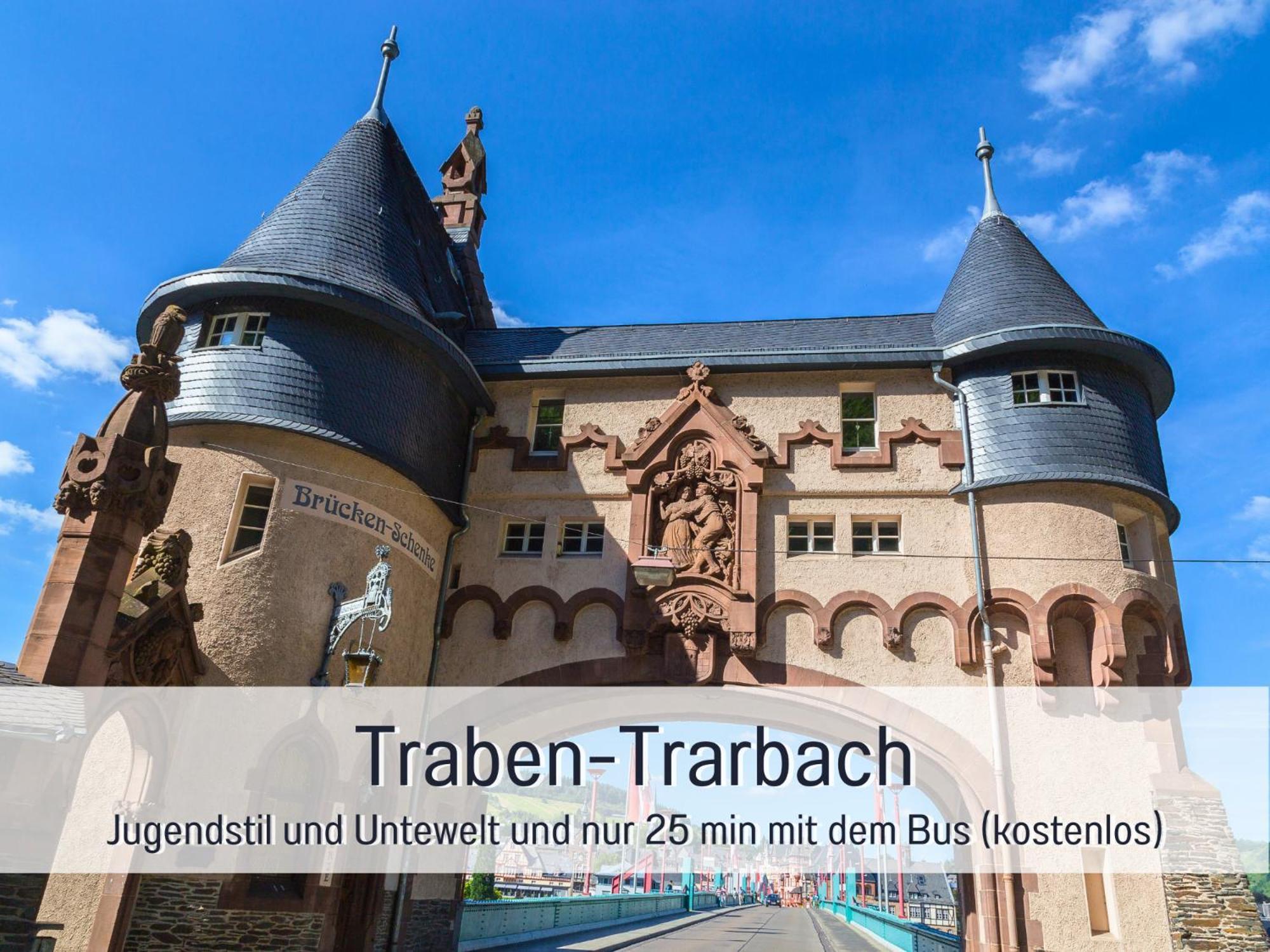 Ferienhaus Schwaab-Scherr, Genau Zwischen Bernkastel-Kues Und Traben-Trarbach, Mit Kostenlosem Oepnv-Ticket Fuer Bus Und Bahn, Parkplaetzen, Fahrradgarage Und Vielen Tipps Erden Luaran gambar