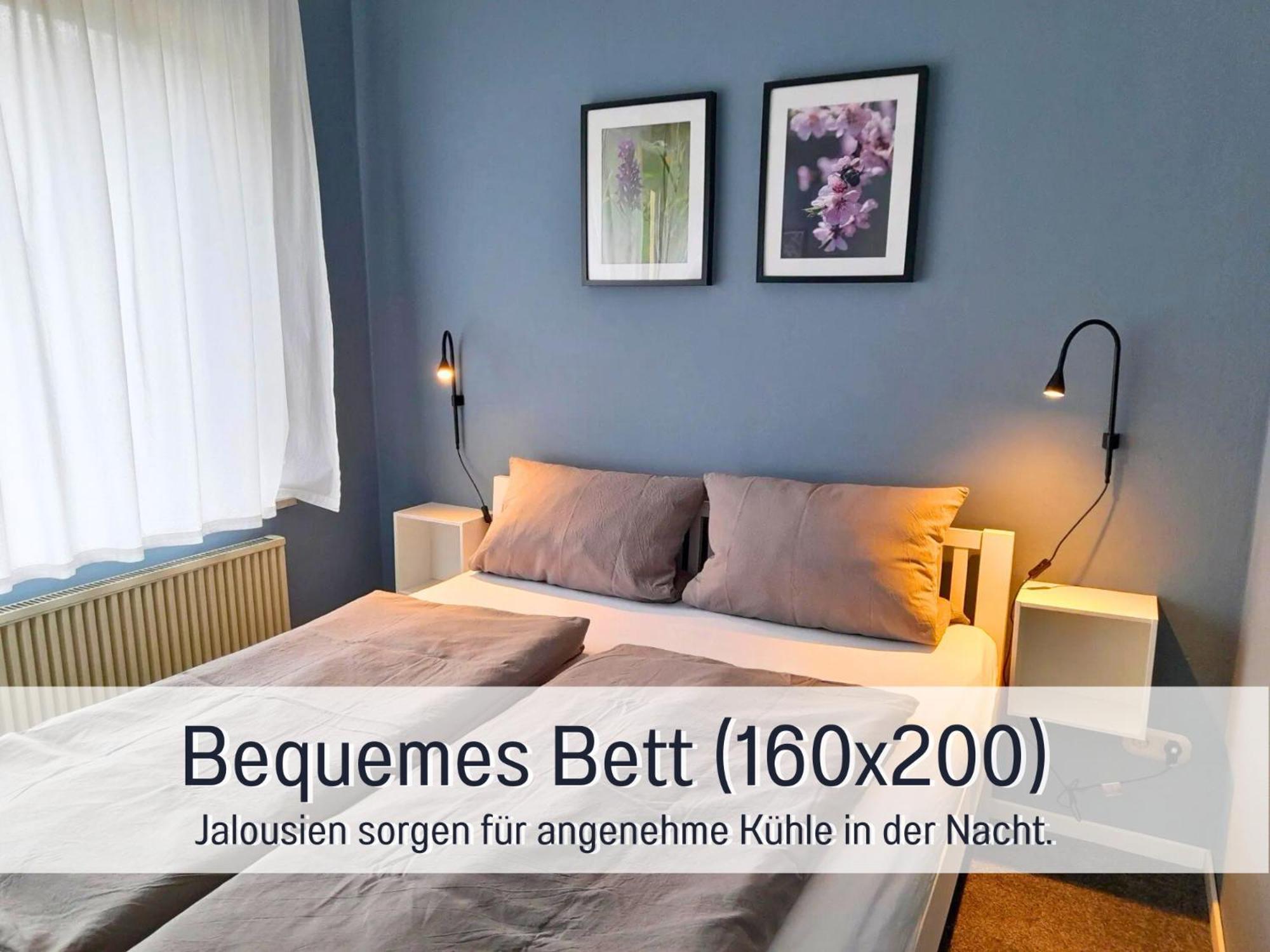 Ferienhaus Schwaab-Scherr, Genau Zwischen Bernkastel-Kues Und Traben-Trarbach, Mit Kostenlosem Oepnv-Ticket Fuer Bus Und Bahn, Parkplaetzen, Fahrradgarage Und Vielen Tipps Erden Luaran gambar