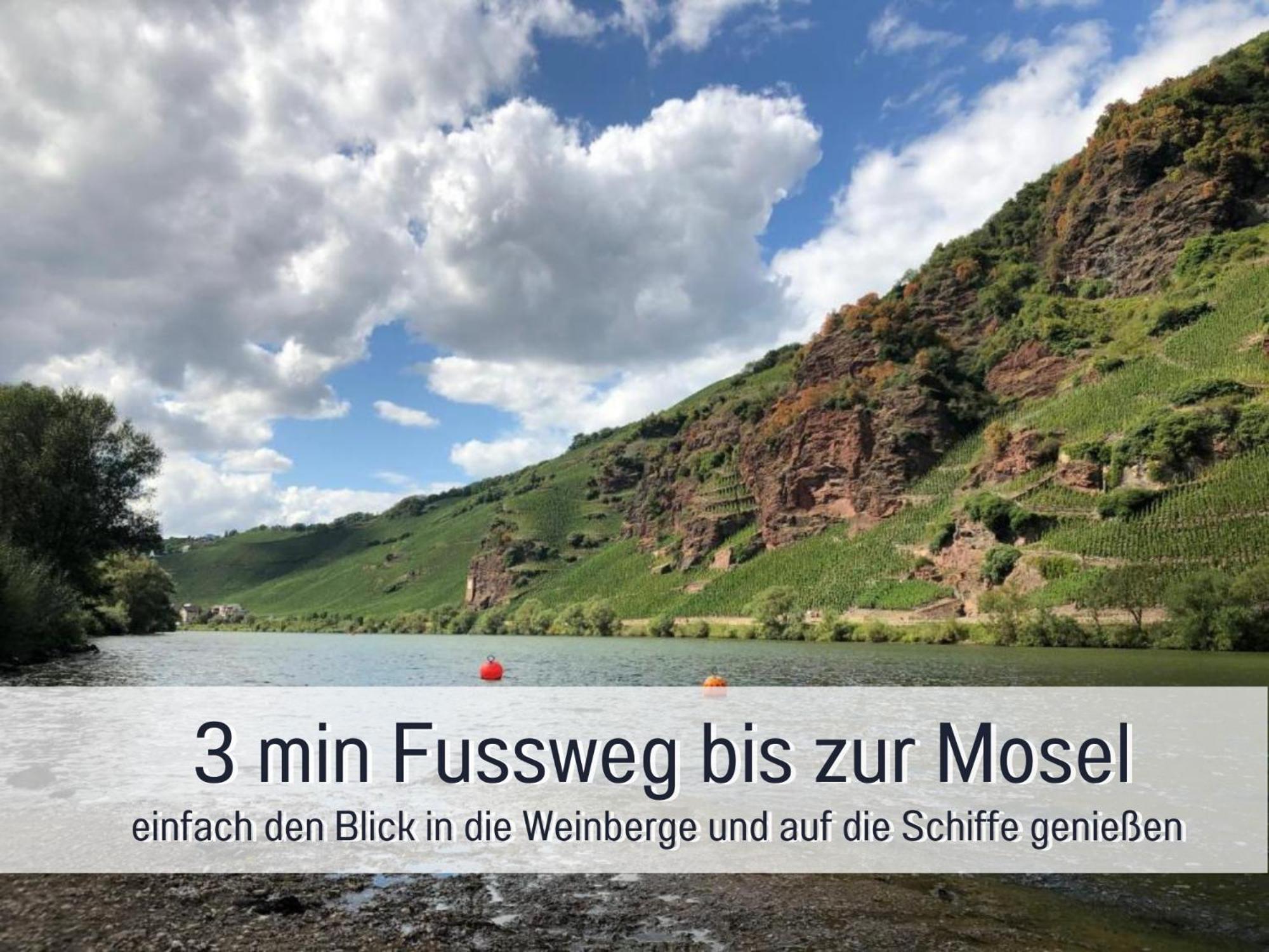 Ferienhaus Schwaab-Scherr, Genau Zwischen Bernkastel-Kues Und Traben-Trarbach, Mit Kostenlosem Oepnv-Ticket Fuer Bus Und Bahn, Parkplaetzen, Fahrradgarage Und Vielen Tipps Erden Luaran gambar